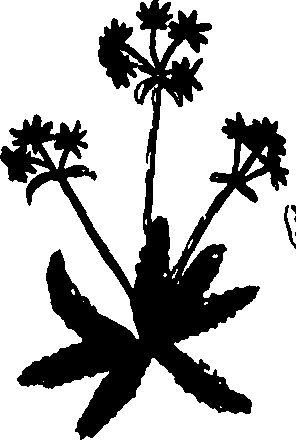 082/082460030003170_0.png