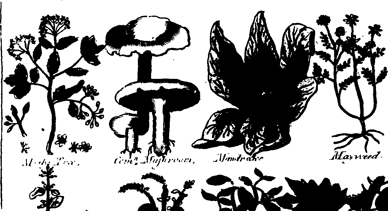 082/082460030003170_1.png