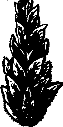 082/082460030003170_2.png