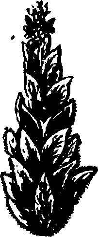 082/082460030003190_2.png