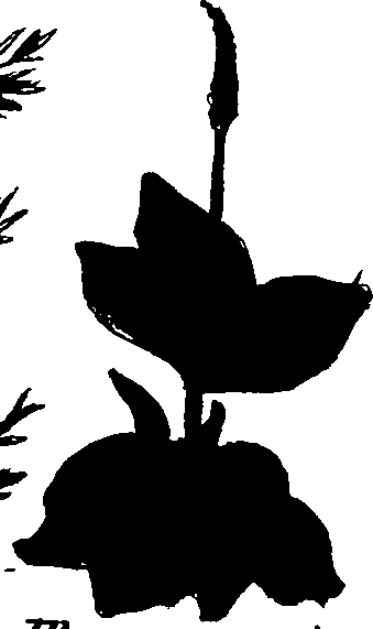 082/082460030003400_0.png