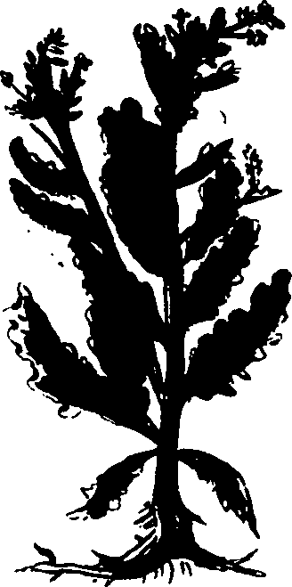 082/082460030003790_2.png