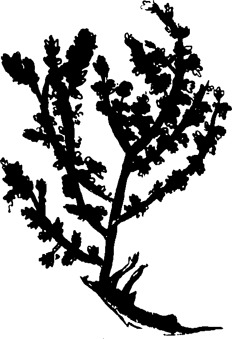 082/082460030003810_0.png