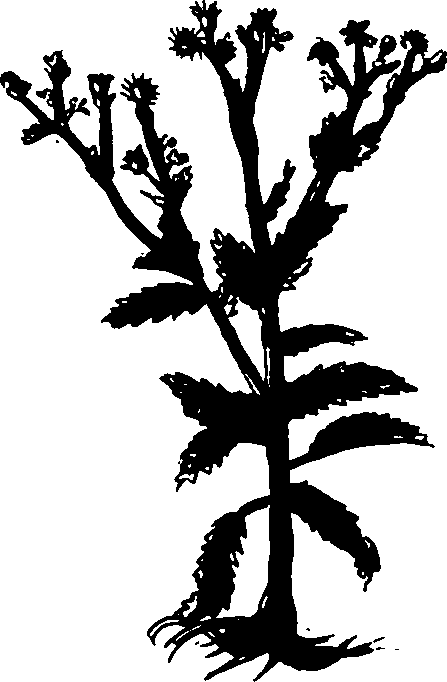 082/082460030004140_1.png