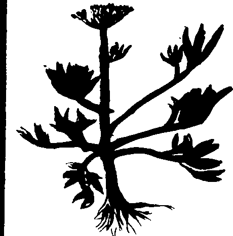 082/082460030004140_2.png