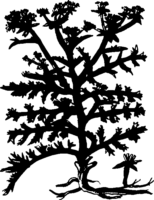 082/082460030004140_3.png