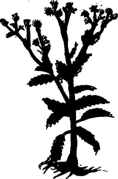 082/082460030004160_1.png