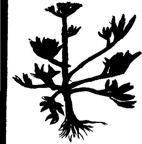082/082460030004160_2.png