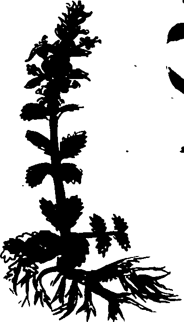 082/082460030004190_0.png