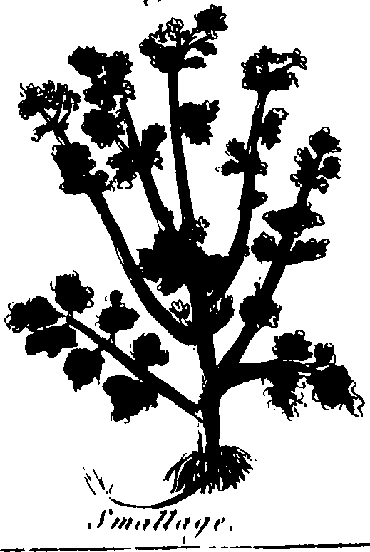 082/082460030004210_0.png