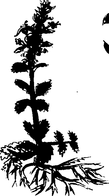 082/082460030004210_1.png