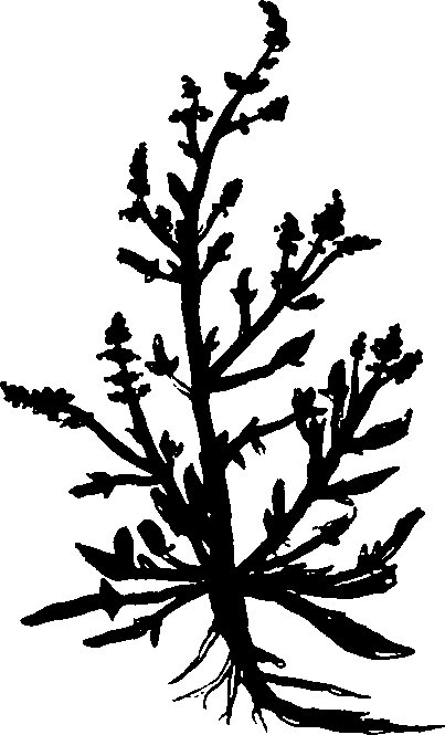 082/082460030004320_1.png
