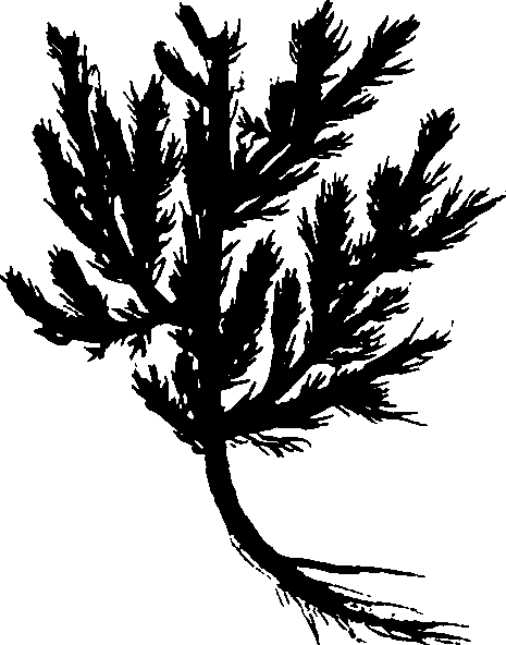 082/082460030004340_0.png