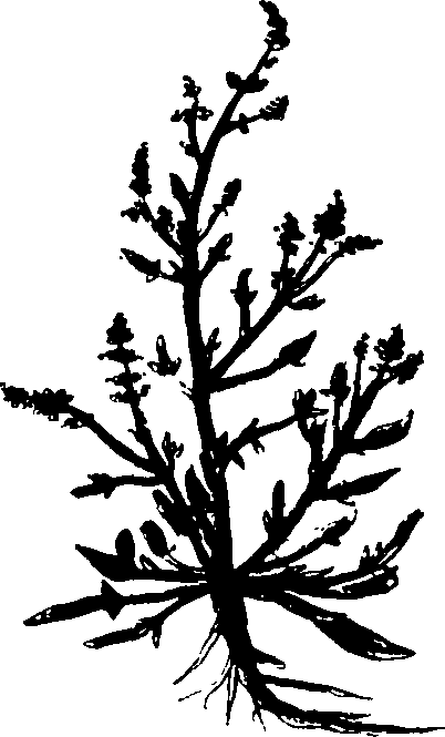 082/082460030004340_1.png
