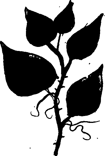 082/082460030004410_0.png