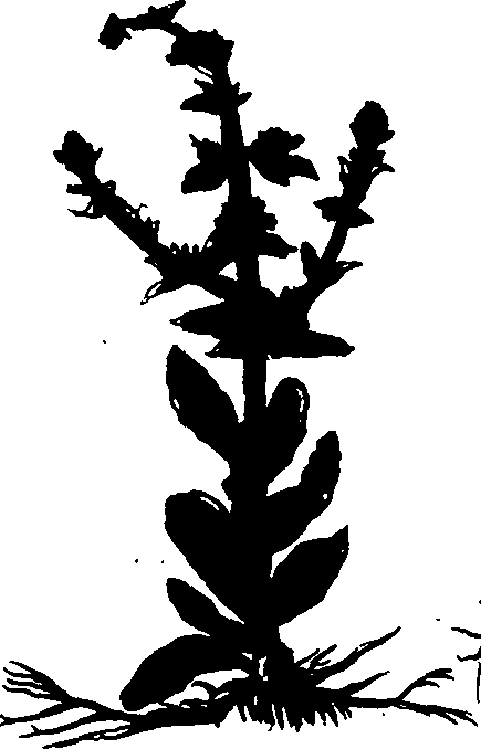 082/082460030004410_1.png