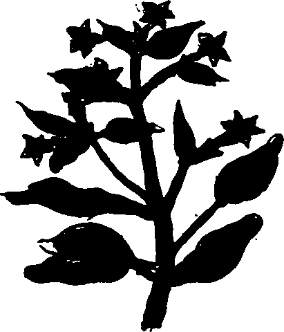 082/082460030004520_0.png