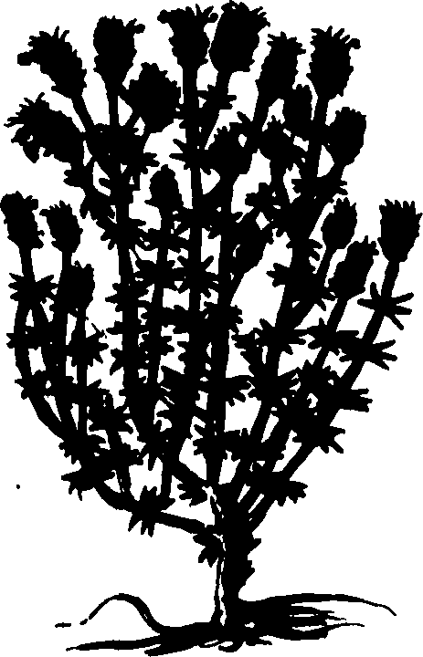 082/082460030004610_0.png