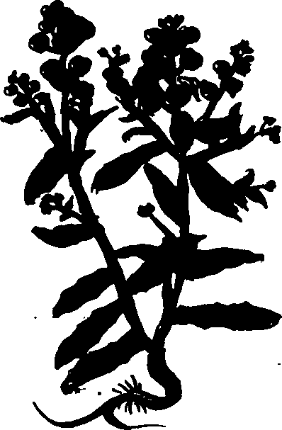 082/082460030004610_1.png