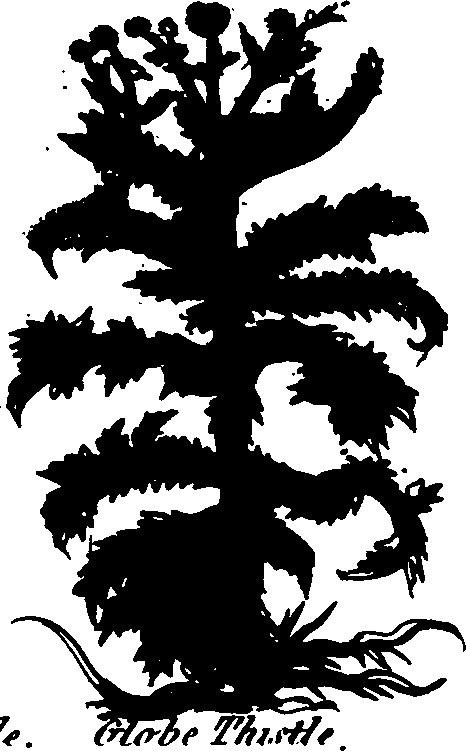 082/082460030004610_2.png