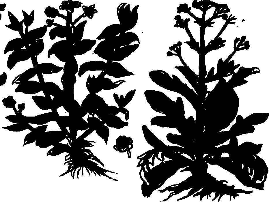 082/082460030004660_0.png