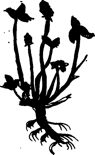 082/082460030004660_1.png
