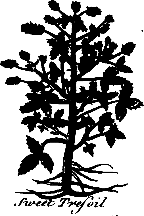 082/082460030004660_2.png