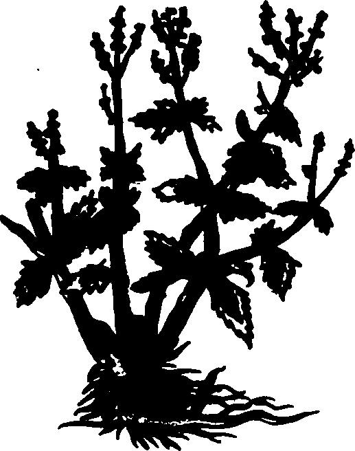 082/082460030004730_1.png