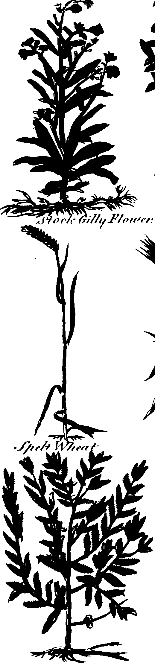 082/082460030004780_0.png