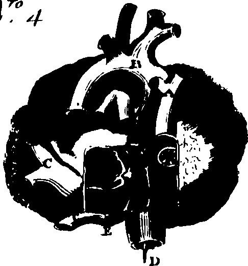 082/082460030006210_0.png