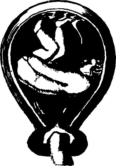 082/082460030007530_0.png