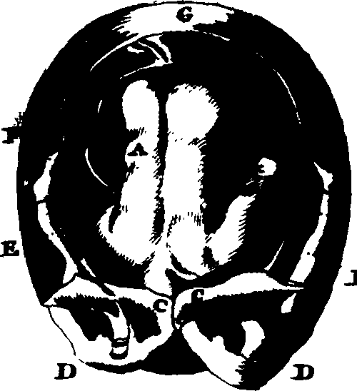 082/082460030007530_1.png