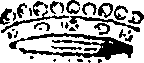 082/082470040000650_0.png