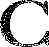 082/082560010300020_2.png
