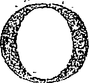 082/082570010400020_3.png