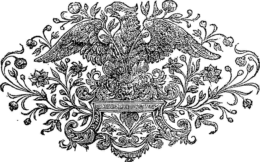 082/082570010402990_0.png
