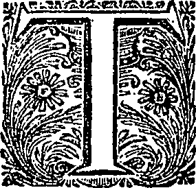 082/082570010506850_0.png