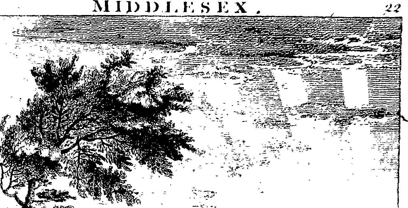 082/082790030000250_1.png