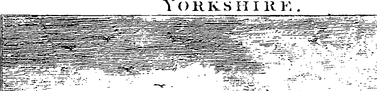 082/082790030000440_0.png