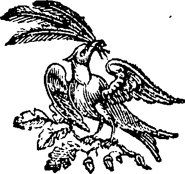 082/082820020100770_0.png