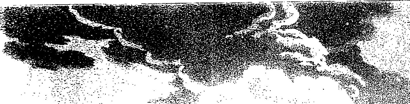 082/082820020100910_1.png