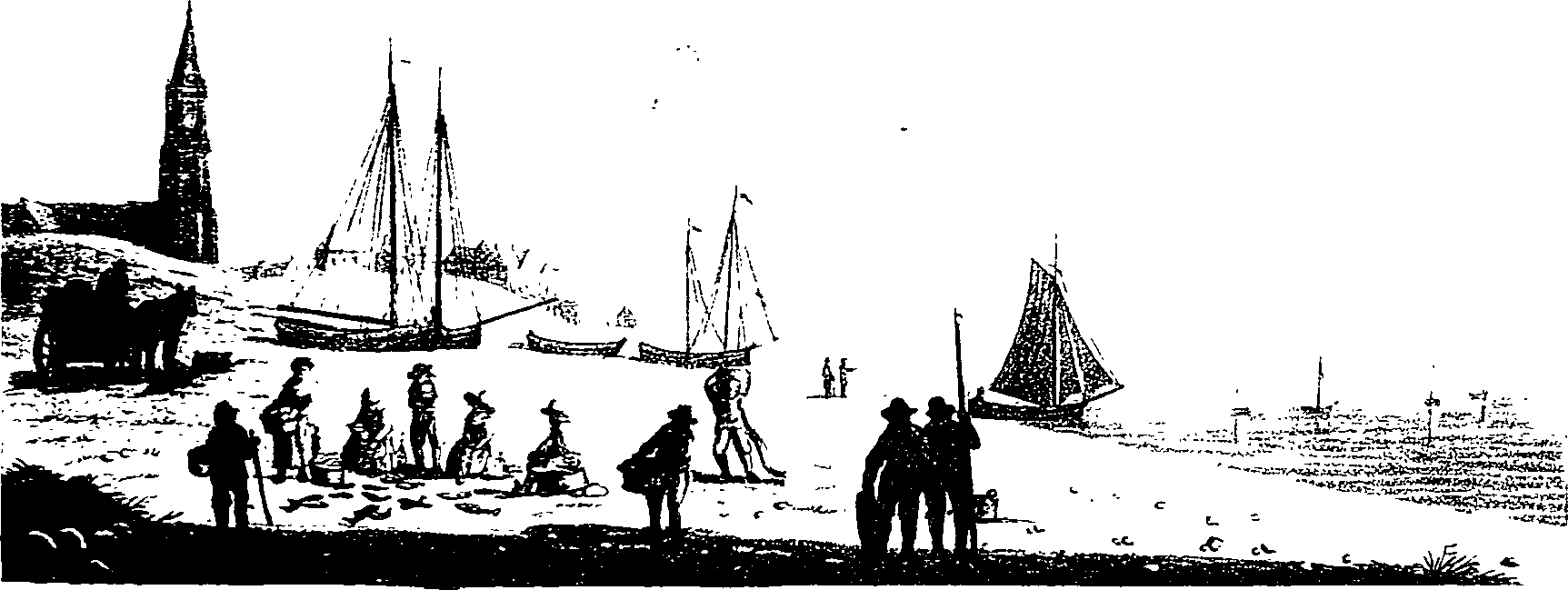082/082820020101250_0.png