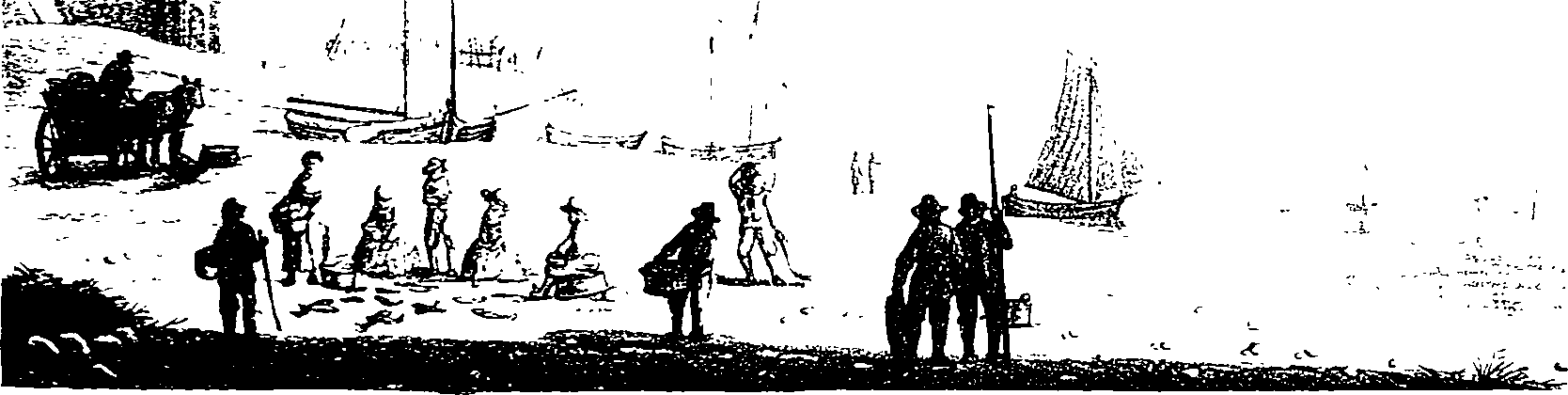 082/082820020101270_0.png
