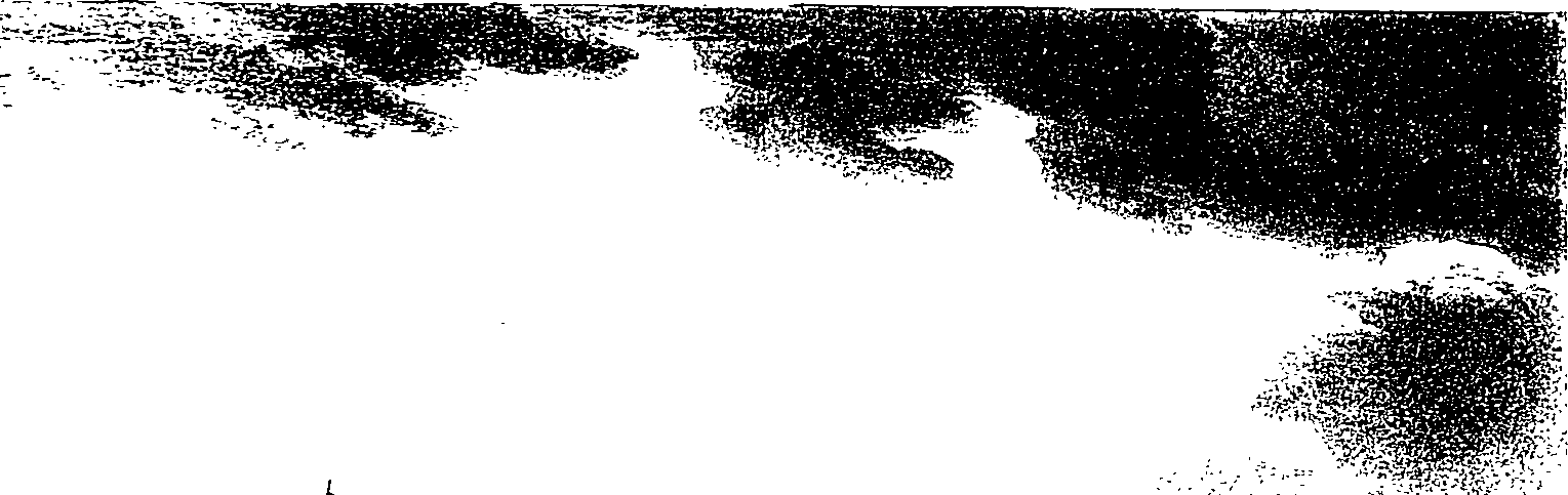 082/082820020102020_1.png