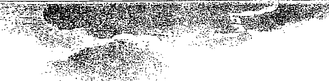 082/082820020102530_1.png