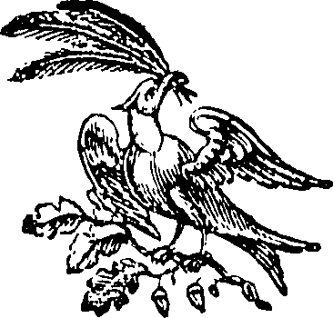082/082820020103280_0.png