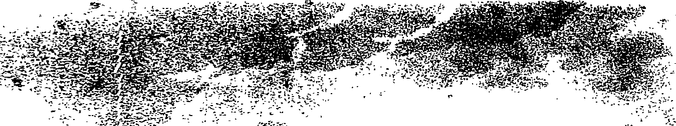 082/082820020200070_1.png