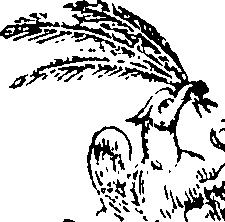 082/082820020200580_0.png
