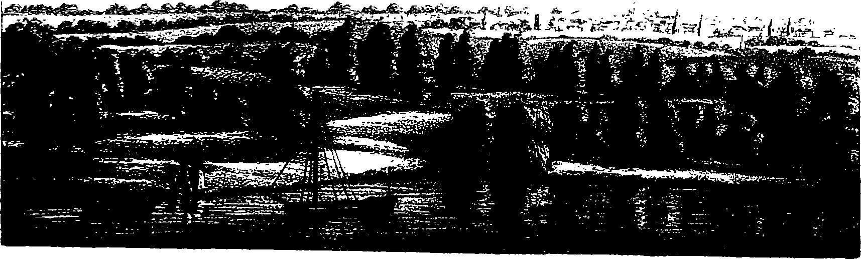 082/082820020201110_0.png