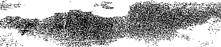 082/082820020201130_1.png